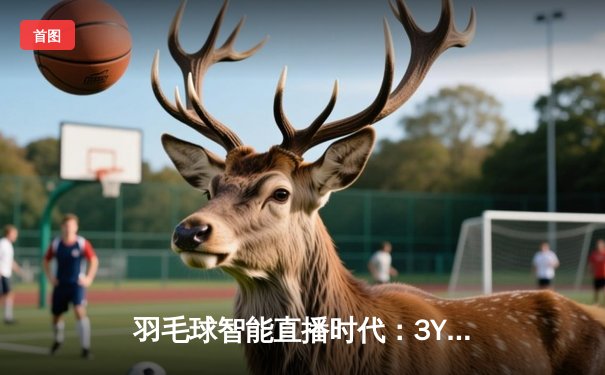 羽毛球智能直播时代：3Y平台如何用科技重塑观赛体验