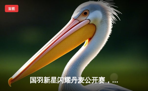 国羽新星闪耀丹麦公开赛，李诗沣逆转夺冠创历史